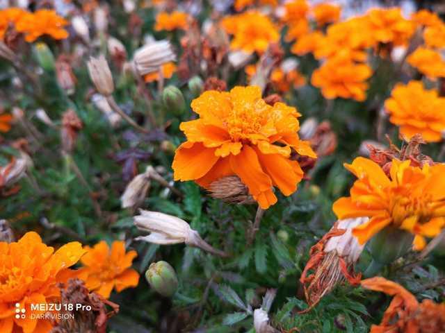 刺客信条闪退枭雄会怎么样_刺客信条闪退枭雄会闪退吗_刺客信条枭雄会闪退