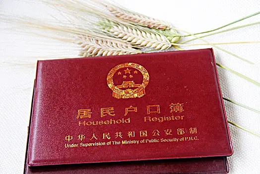 证身份有效包括哪些内容_有效身份证包括_身份证有效是什么意思