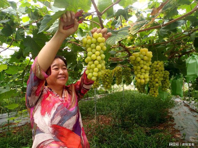 乐至县领导排名_乐至常务副县长_乐至县县领导班子人员