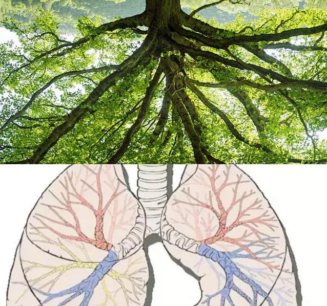肺炎蛋白质高怎么回事_肺炎蛋白_c反应蛋白肺炎