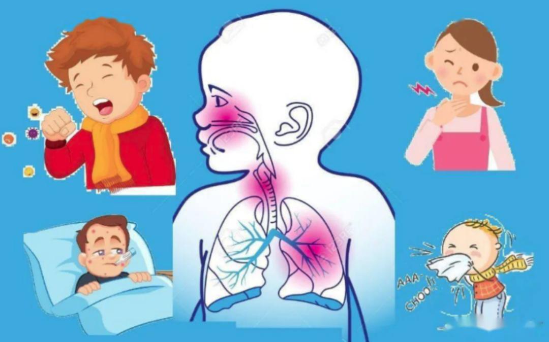 人呼吸道合胞病毒b型_呼吸道合胞病毒血清型_呼吸道合胞病毒b型