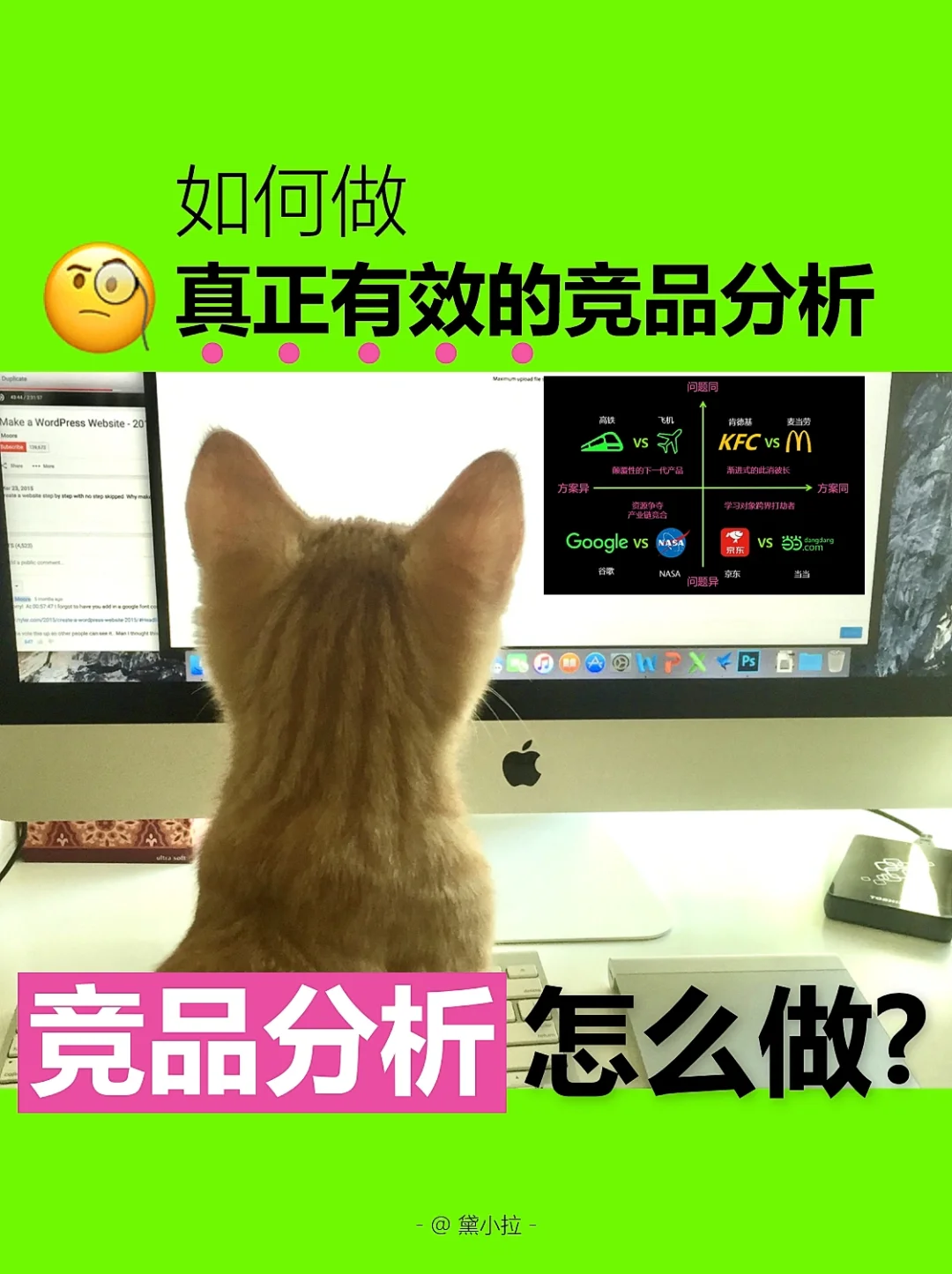 集中控制系统竞品分析-深度揭秘！集中控制系统竞品大扒皮，谁是真正的王者？