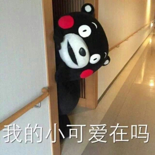 win32diskimager中文版_中文版维基百科入口_中文版霍格沃茨分院比例测试