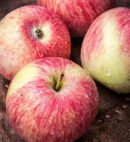 蔬菜能水果胃病吃吗_胃不好可以吃蔬菜水果吗_胃病能吃什么水果蔬菜