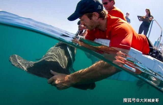 rthdcplexe是什么进程-电脑小白必知：rthdcplexe 进程是什么？它为何如此神秘？