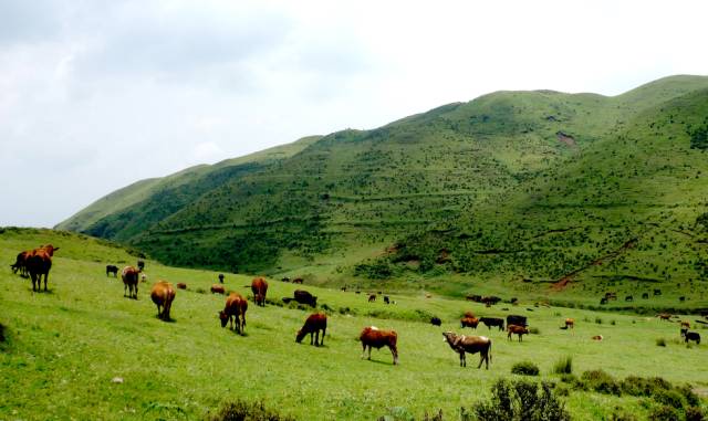 身份证号码大全18周岁-18 岁身份证号码大全，开启成人世界的门票与责任