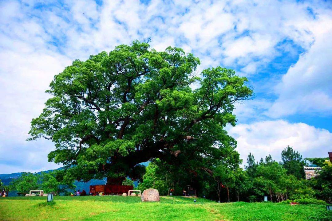 周岁是身份证上的日期吗_周岁身份证_身份证号码大全18周岁