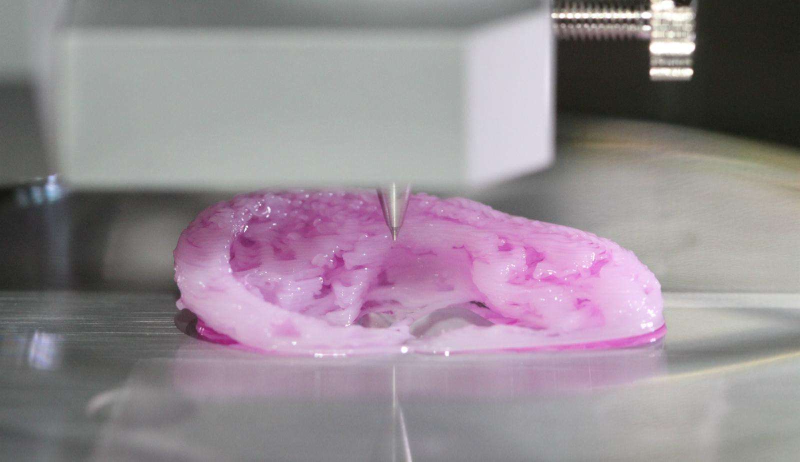 深度精简版xp系统_深度xp系统下载 纯净版_深度纯净版win10