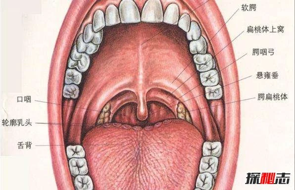 迈克菲防火墙关闭没反应_如何关闭迈克菲防火墙_迈克菲防火墙无法关闭
