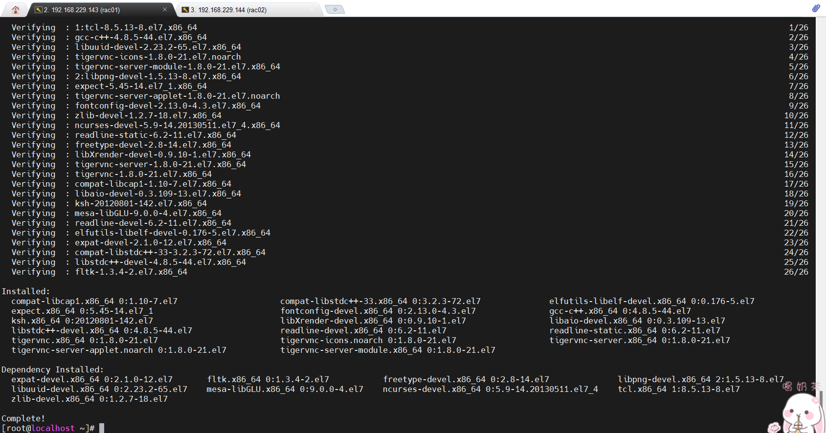 oraclerac安装_oracle 12.2 rac 安装_安装oracle11g