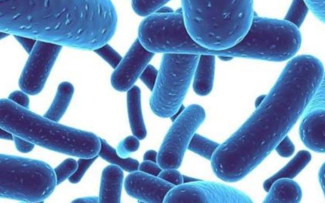 急性盲肠炎吃什么_急性盲肠炎避免吃什么_急性盲肠炎不及时治疗