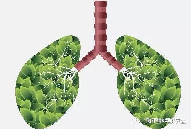 肺空洞有气液平是什么_肺空洞有毛刺一定是癌症吗_肺上有空洞