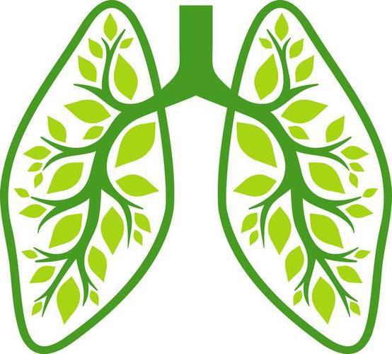 肺上有空洞_肺空洞有毛刺一定是癌症吗_肺空洞有气液平是什么