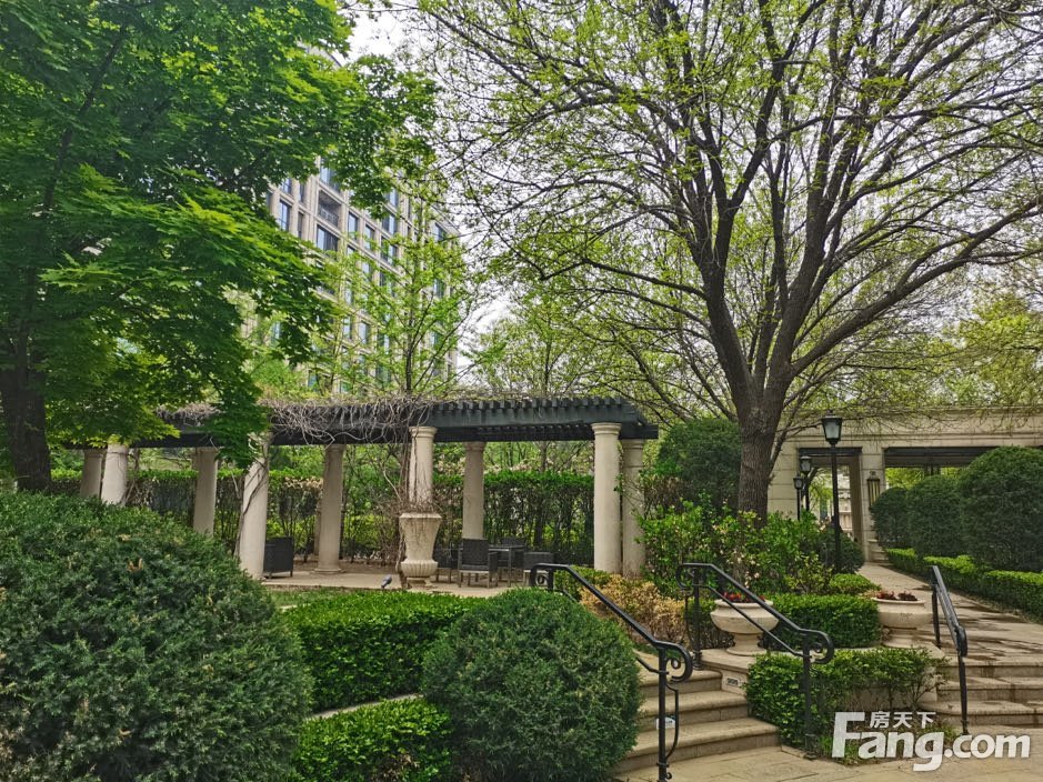 北京朝阳医院预约中心电话_北京朝阳医院预约电话是多少_北京朝阳医院预约电话