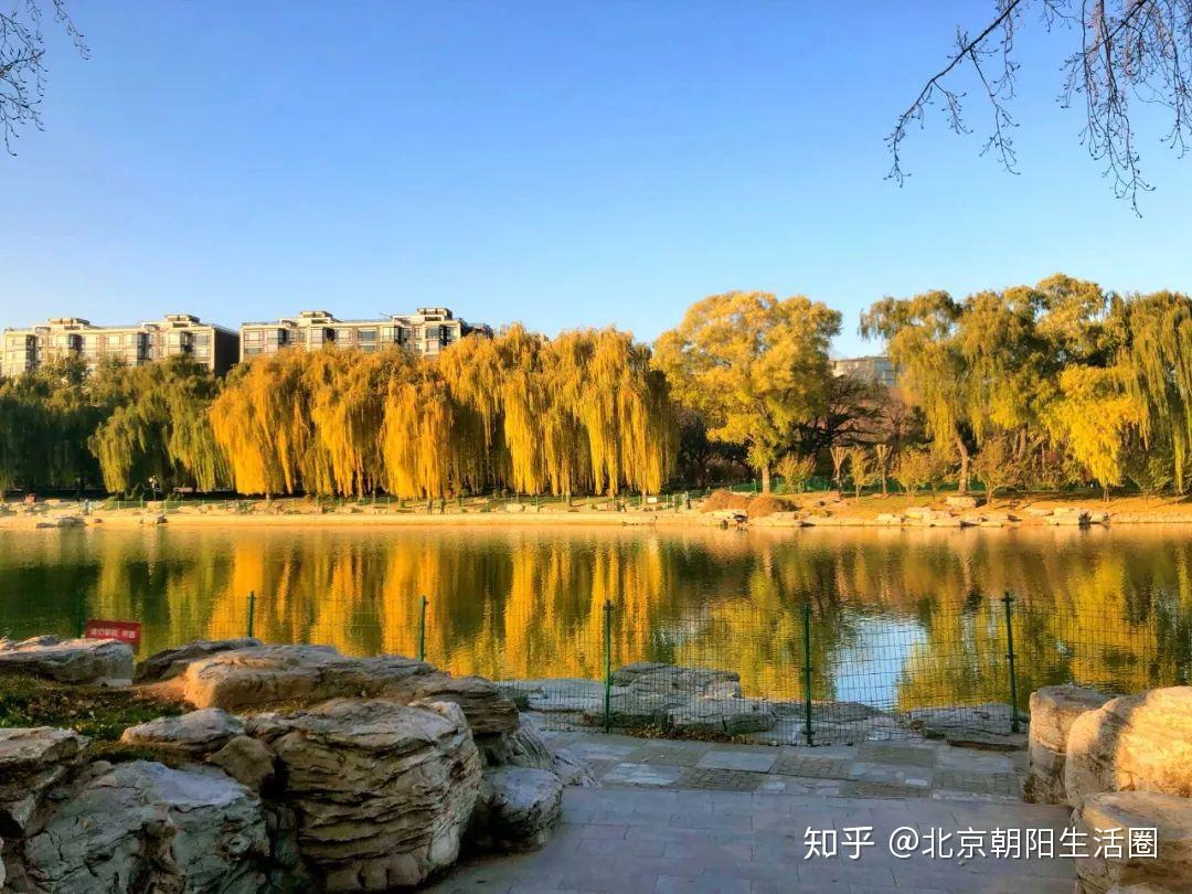 朝阳乡政府区三间房在哪_朝阳区三间房乡政府_朝阳区三间房乡领导班子