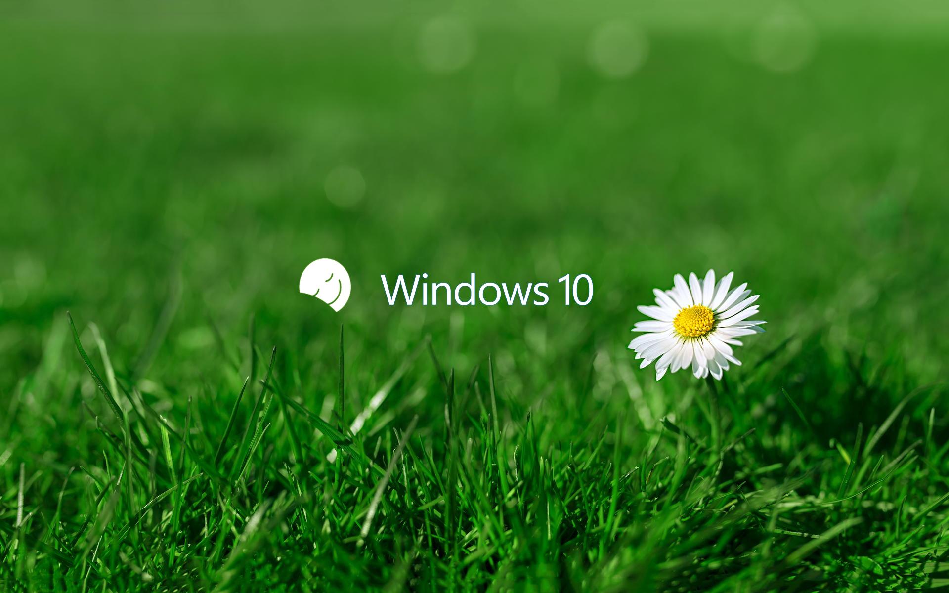 壁纸windows聚焦_壁纸win11_win10壁纸