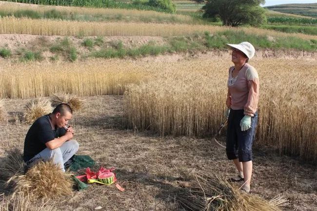 金川南县破鞋厂电话_金川南县破鞋店电话_辉南县金川破鞋