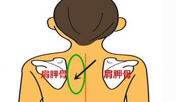深呼吸肩胛骨后背疼_后背肩胛骨疼呼吸都疼_后背疼骨呼吸肩胛骨疼痛