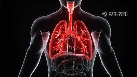 呼吸背疼是怎么回事_呼吸背疼是什么原因引起的_深呼吸背疼是怎么回事