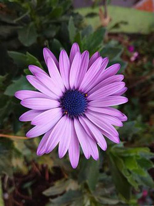 省电 安卓手机应用-安卓手机电量不够用？这些省电小技巧你一定要知道