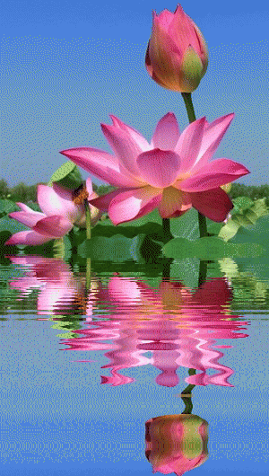 安卓系统耗电量大-安卓手机电量消失之谜：系统更新、后台应用与动态壁纸的影响