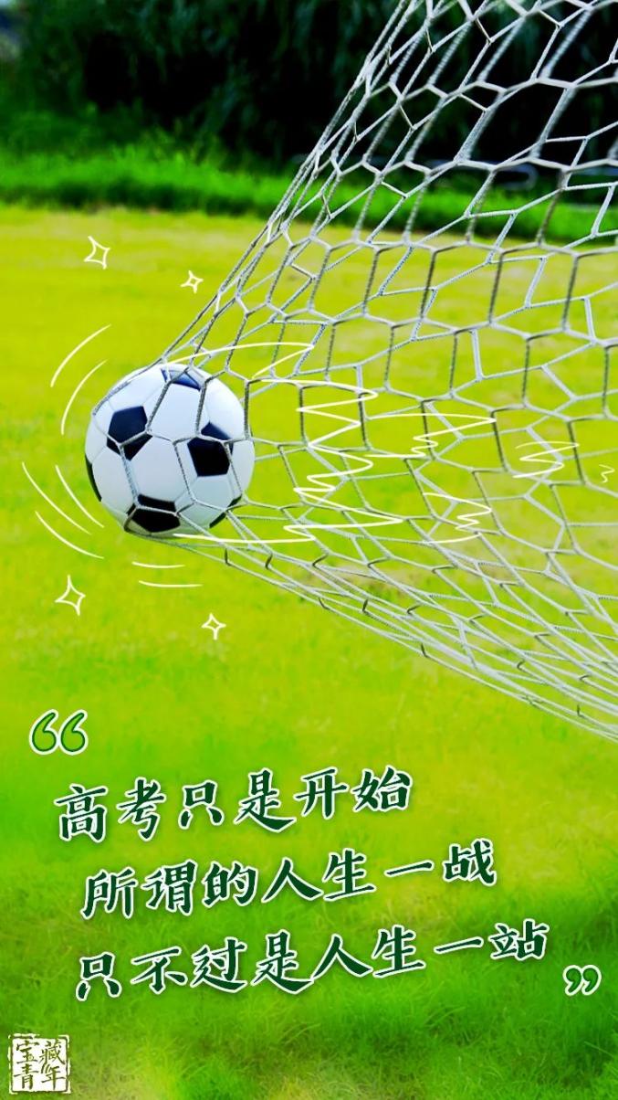 手机省电宝有用吗-手机省电宝真能让电量起死回生？真相或许没那么简单