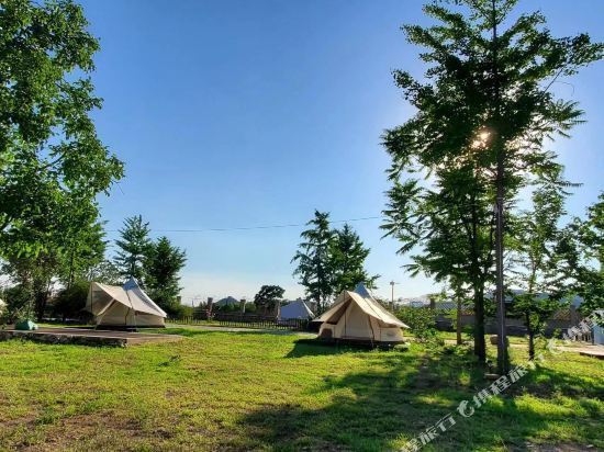 北京市朝阳区大屯街道-北京大屯街道：承载欢笑与泪水的温馨之地