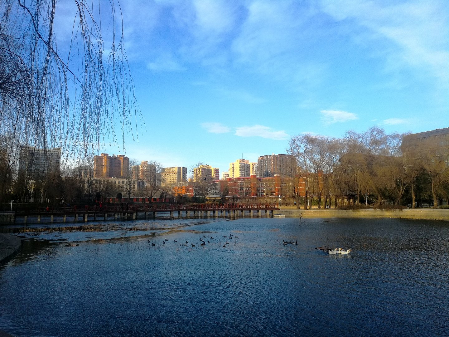 北京朝阳区大屯社区_北京市朝阳区大屯街道_北京市朝阳区大屯属于哪个街道