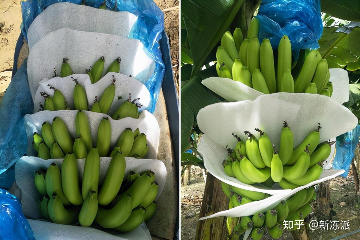 美国乐至宝沙发价格高昂让人望而却步，运费税费更是雪上加霜