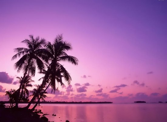 图片好看的图片_图片403 forbidden_图片2023手机壁纸