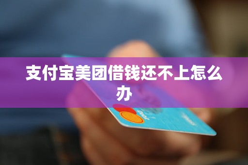 支付宝控件安装不上_支付宝软件安装_支付宝安装程序
