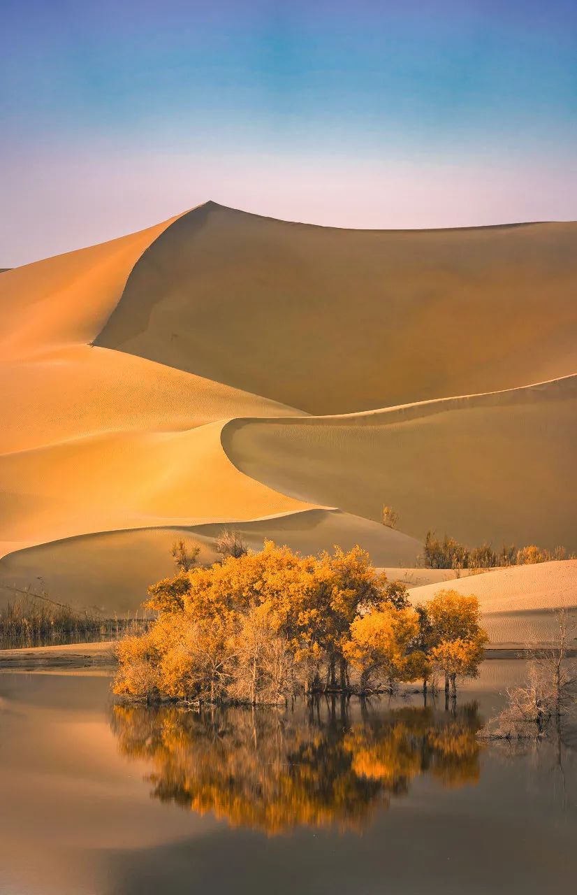 悸动画_悸动画_悸动画