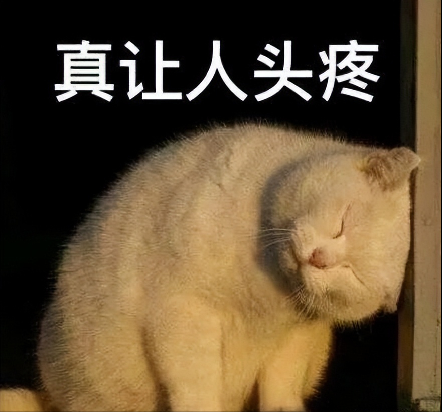 错误的拼音_svchostexe 错误_svchostexe错误