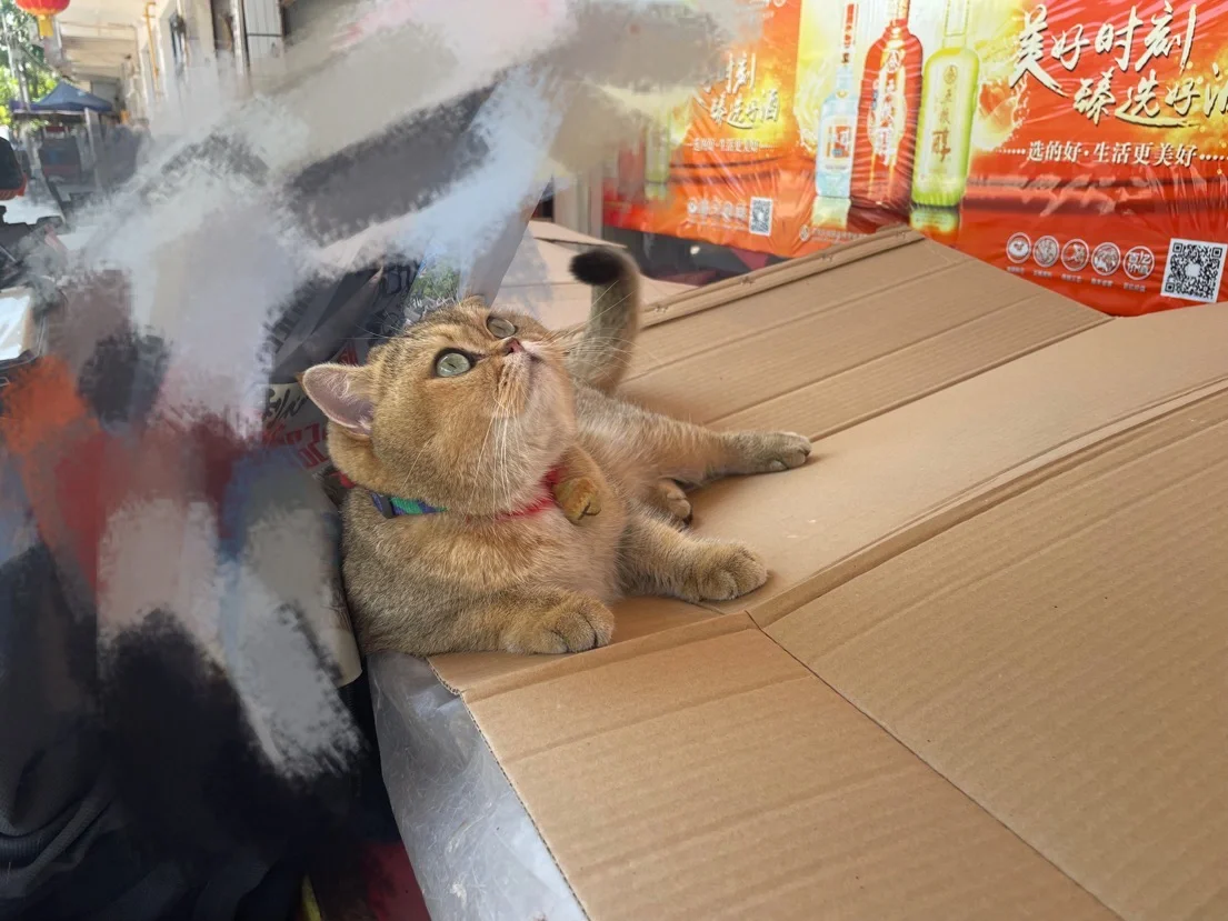 资阳市乐至县路政招聘_资阳路政电话_资阳市公路路政管理支队