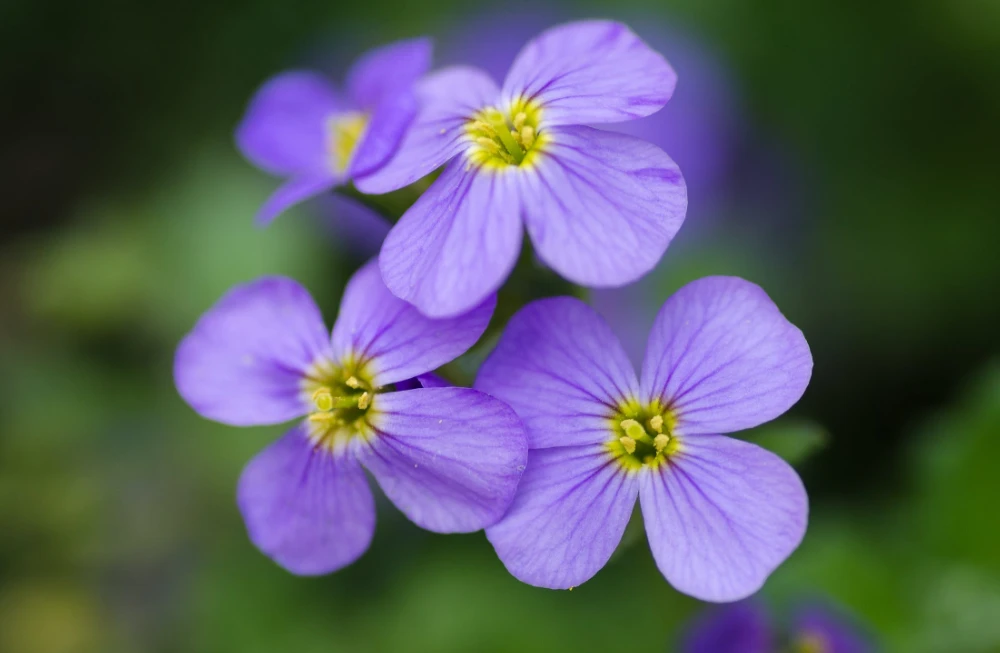 后背疼痛的特效药_后背疼痛要警惕的三种病_后背经常疼痛