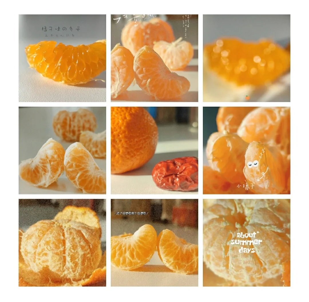 乐至县政府采购招标网_乐至县政府采购网_乐至县交易中心招标信息