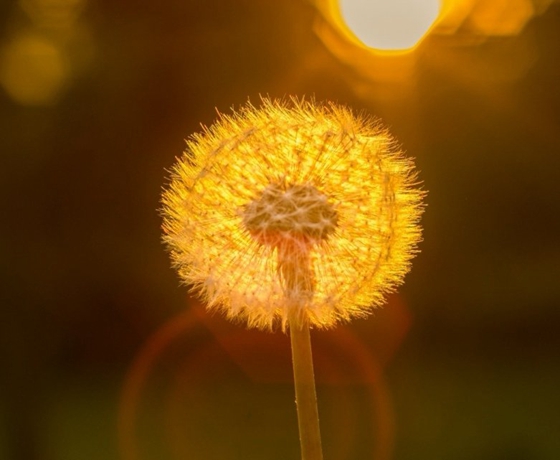 恢复数据软件不付费版_求免费的数据恢复软件_免费使用恢复数据的软件