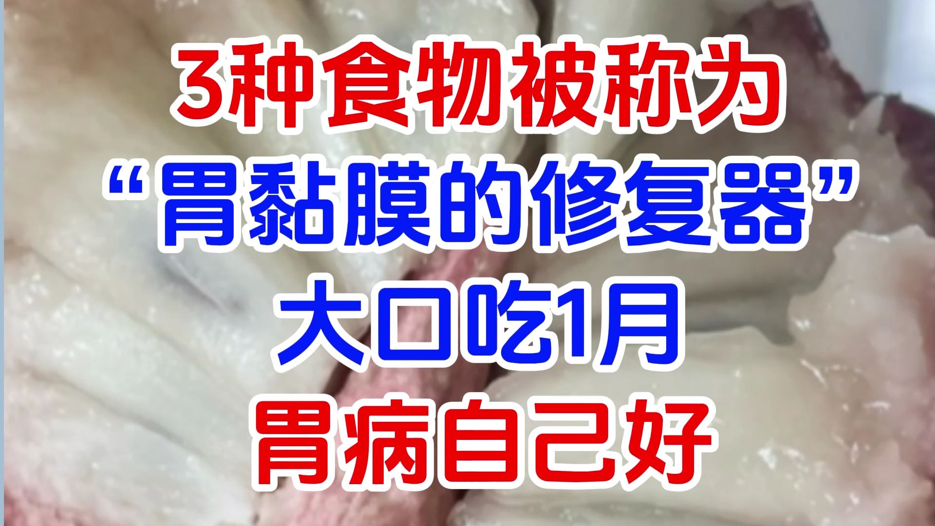 胃病视频讲解_健康之路胃病视频全集_胃健康之路
