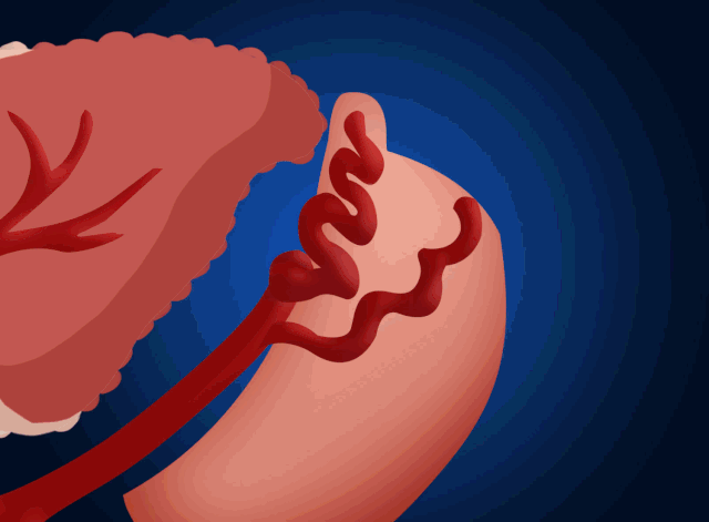 胃健康之路_胃病视频讲解_健康之路胃病视频全集