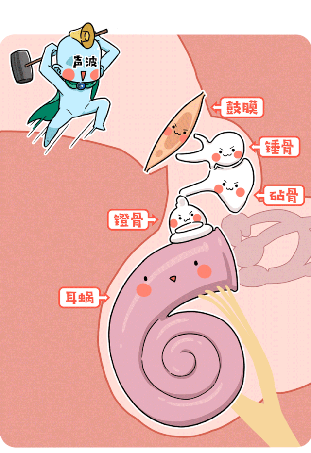 环境技术专业学什么_环境技术有限公司_3s技术与环境