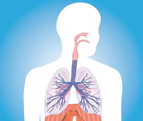 呼吸衰竭如何定义和分类_Ⅰ型呼吸衰竭定义_呼吸衰竭的定义和分型是什么