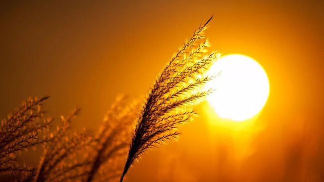 清除小米恢复数据手机会怎么样_小米手机清除了数据恢复_小米手机清除数据恢复