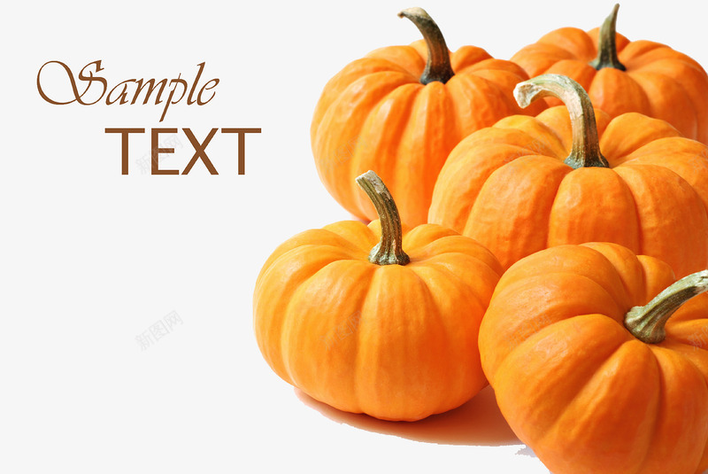 jq中text是什么意思啊-搞懂 jq 里的 text 原来如此简单，获取和设置 HTML 元素文本