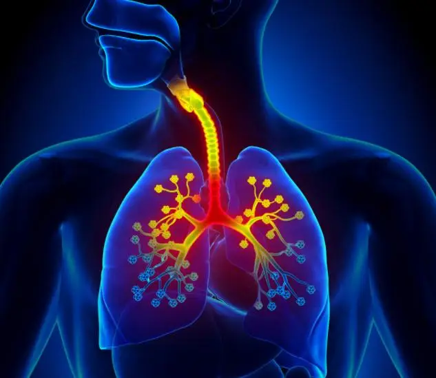 咳嗽白痰肺癌_咳白痰是肺癌_咳嗽白痰肺癌