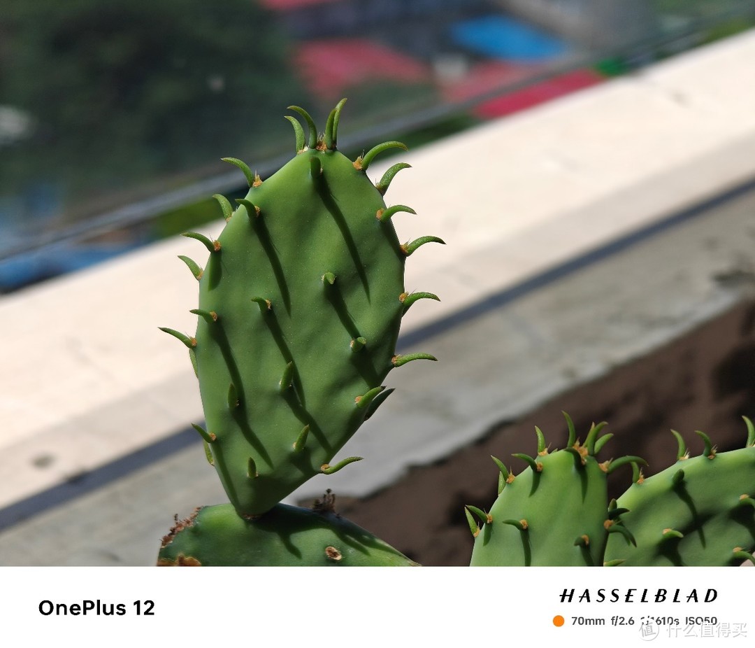 疯子2021软件_疯子官网电脑版下载_电脑疯子官网