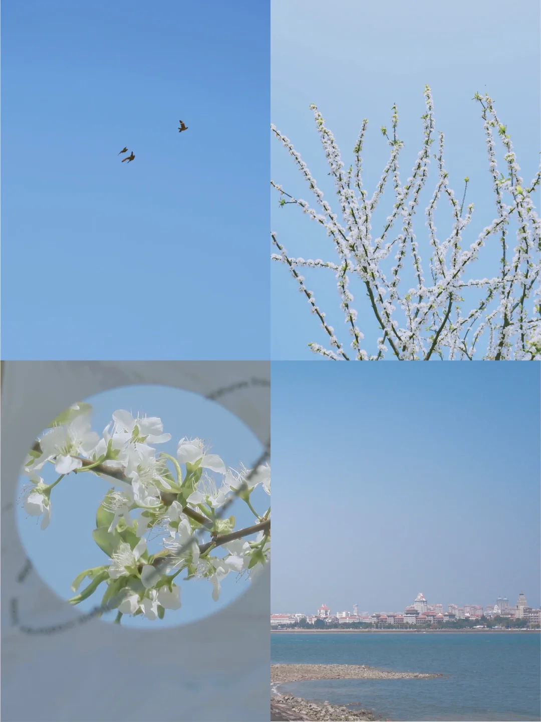 系统自动修复 sreng2_自动修复h0007_自动修复系统启动