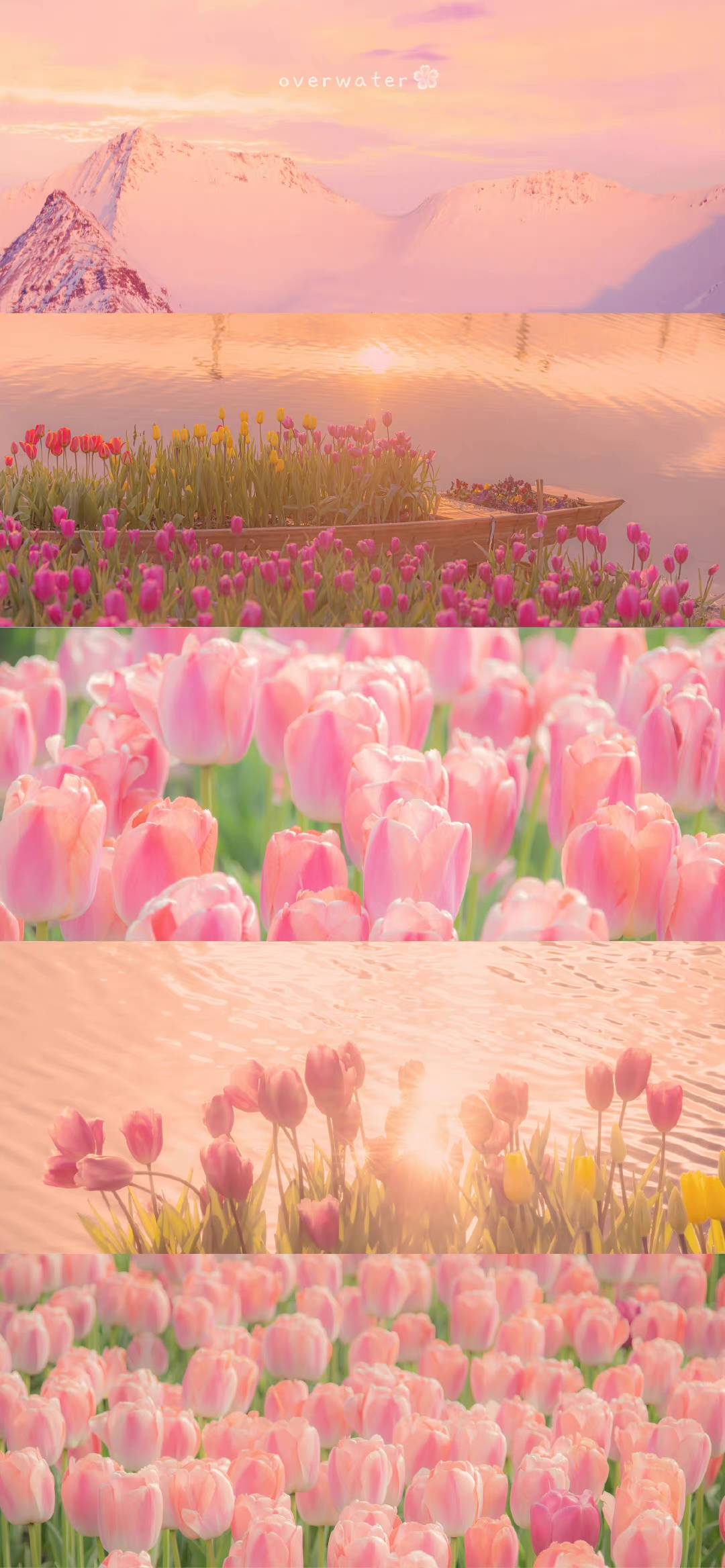 直方图匹配原理_匹配原理直方图是什么_直方图匹配的基本原理