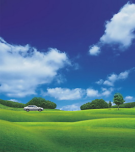 杭州绿云公司_杭州绿云公司是国企吗_杭州绿云公司创始人