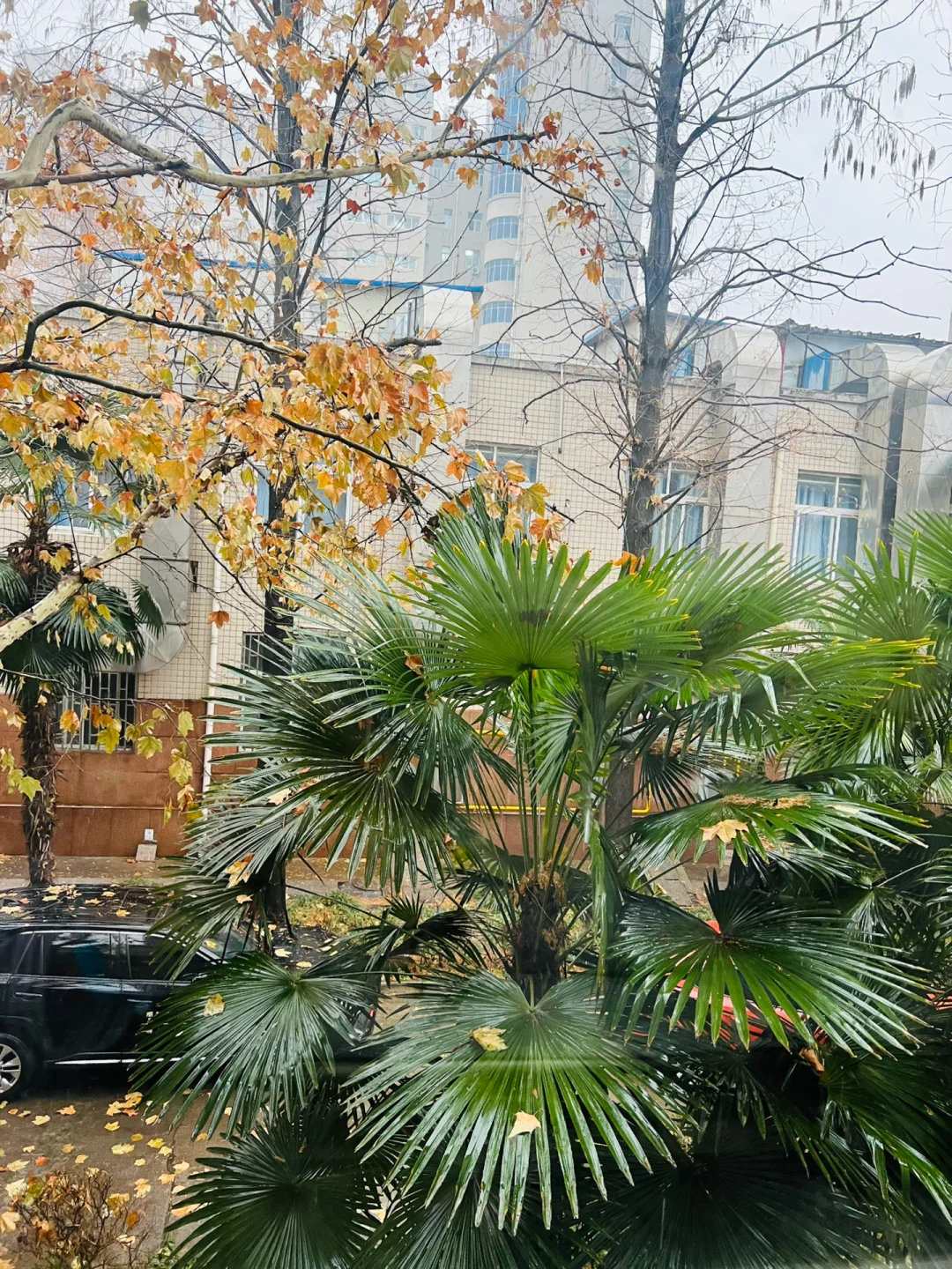 肛瘘手术恢复时间_手术恢复肛瘘时间多长_手术恢复肛瘘时间多久