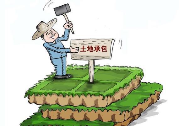 河南省空闲土地核查-河南空闲土地大核查：让被遗忘的角落重焕生机